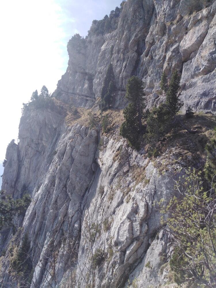 La vire un peu expo La vire un peu expo